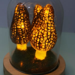 Wild Mushroom Lights, Glass Container Lights Night Lights Morel Mushroom Lights, Handmade Morel Lights, USB Gift Lights image 8