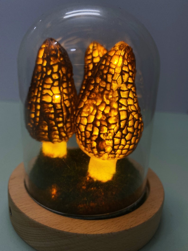 Wild Mushroom Lights, Glass Container Lights Night Lights Morel Mushroom Lights, Handmade Morel Lights, USB Gift Lights image 8