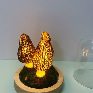Wild Mushroom Lights, Glass Container Lights Night Lights Morel Mushroom Lights, Handmade Morel Lights, USB Gift Lights image 3