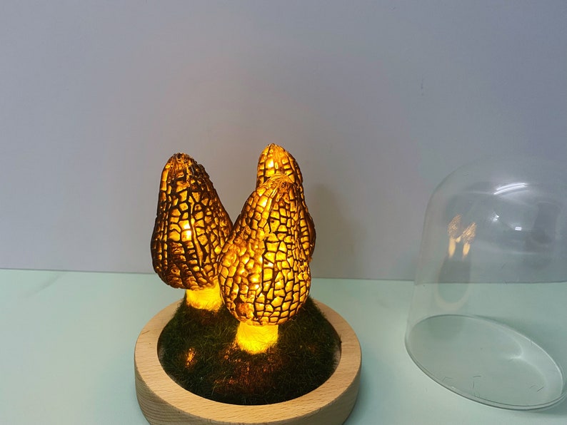 Wild Mushroom Lights, Glass Container Lights Night Lights Morel Mushroom Lights, Handmade Morel Lights, USB Gift Lights image 3