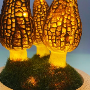 Wild Mushroom Lights, Glass Container Lights Night Lights Morel Mushroom Lights, Handmade Morel Lights, USB Gift Lights image 6