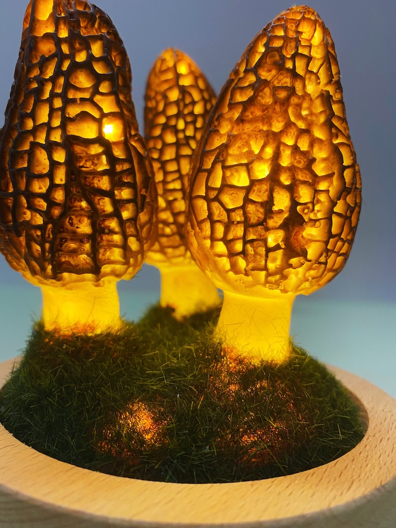 Wild Mushroom Lights, Glass Container Lights Night Lights Morel Mushroom Lights, Handmade Morel Lights, USB Gift Lights image 6