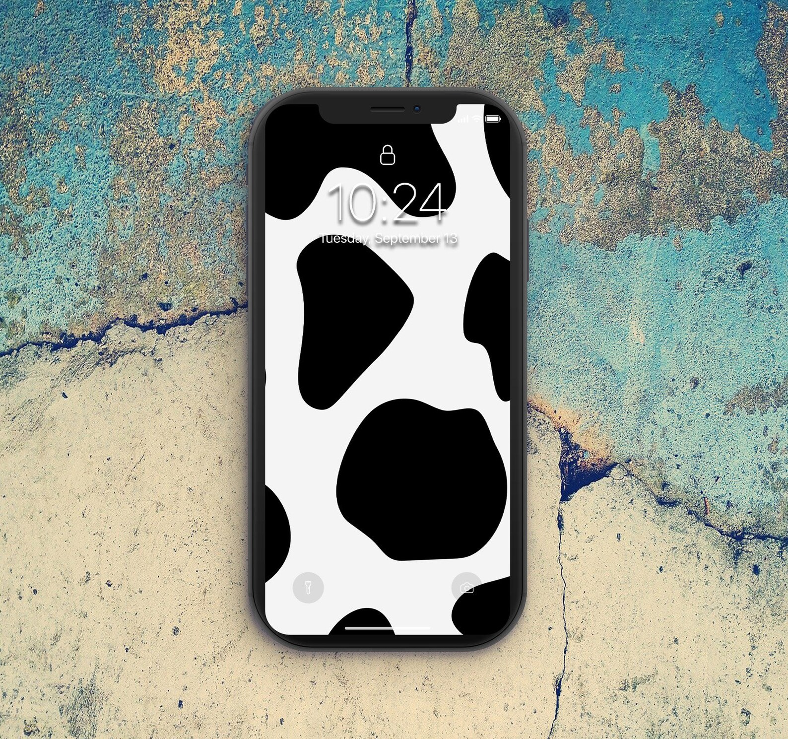 Cow Print iPhone Wallpapers Minimalist iPhone Wallpaper Etsy