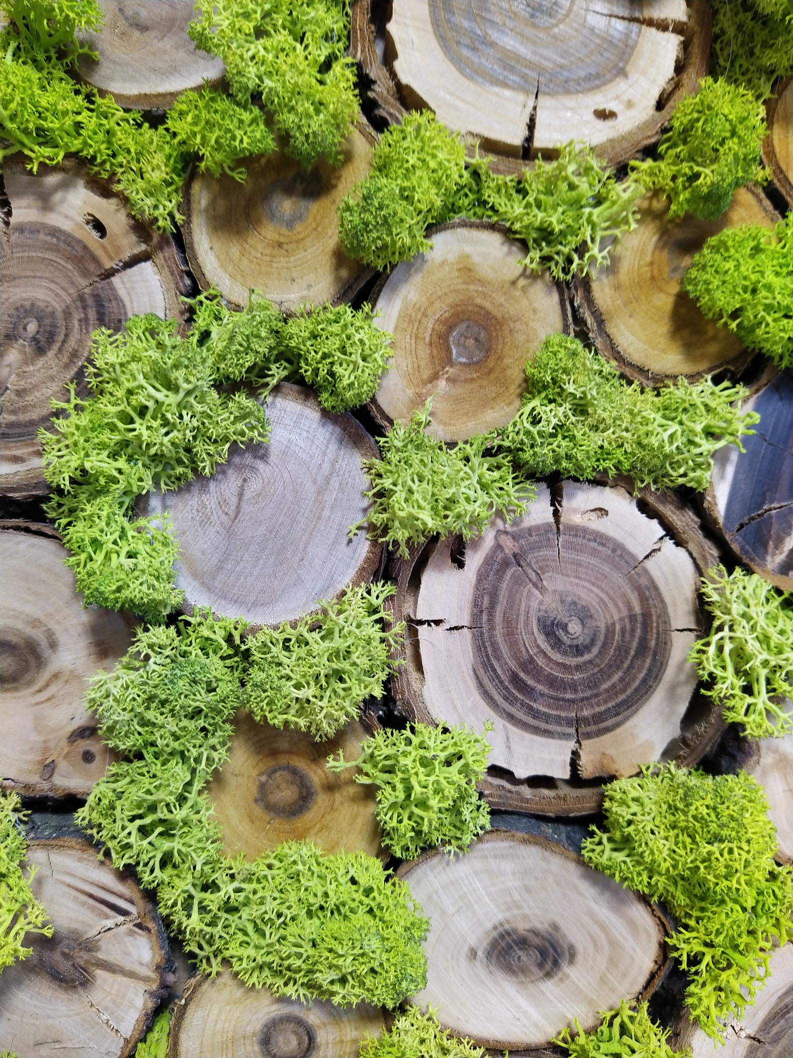 Wood and Moss Wall Art Reindeer Moss Panel Forest Natural Etsy