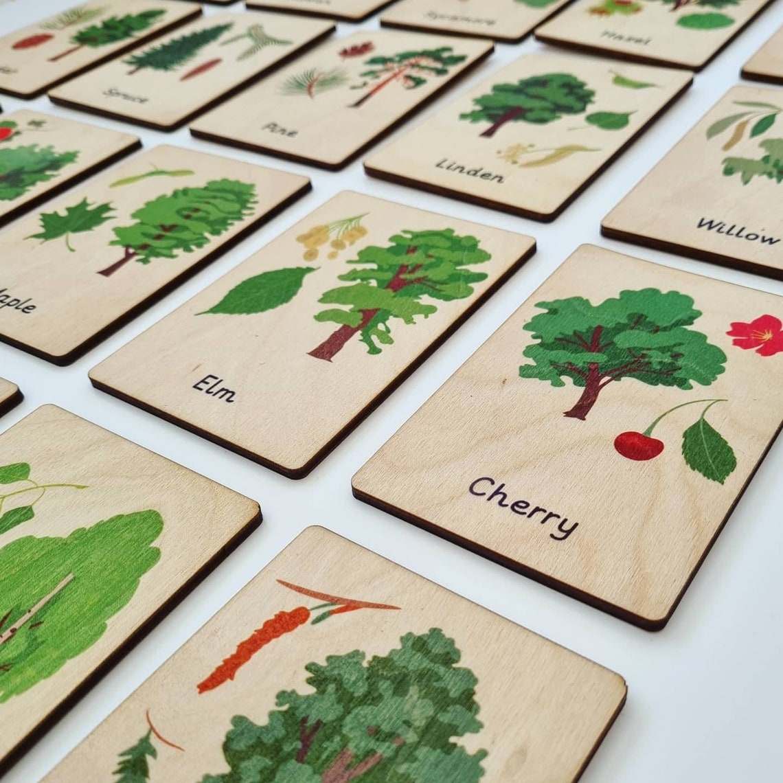Tree Identification Wooden Flashcards Children's Teaching Etsy UK