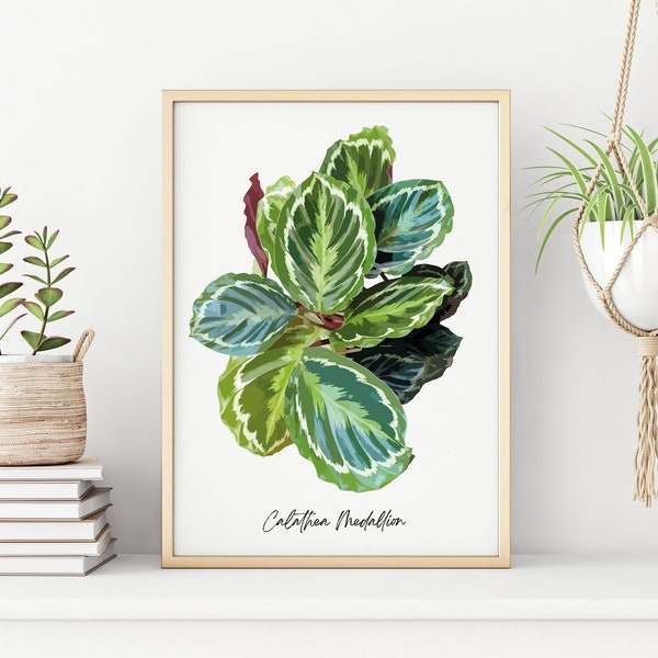 Botanical Wall Art Print of Calathea Leaf, Tropical Green decor, Gift for Houseplant Lover, Calathea Medallion Poster, Green Plant Wall Art