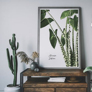 Botanical Alocasia Leaf Print, Houseplant Poster, Tropical Wall Art, Contemporary Green Print, Gift for Plant Lover, Plant Illustration