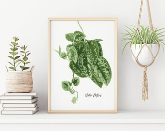 Pothos Botanical Leaf Print,  Houseplant Poster, Satin Pothos,  Green Plant Art, Tropical Print, Gift for plant lover, Bathroom Wall Art