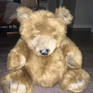 May include: A brown teddy bear with a black nose and a tan snout. The bear has a soft, furry texture and is sitting upright. The bear's ears are a darker shade of brown. A classic children's toy.
