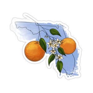 Florida Orangenblüten Sticker | Zustand Blumen Aufkleber | Aufkleber für Wasserflaschen, Telefone, Laptops, Journals | Transparent & Kiss Cut Sticker