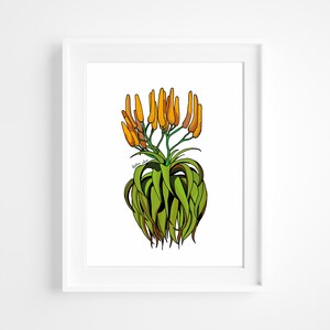 Aloe Print | Aloe | South African Art | Botanical prints | Cactus art
