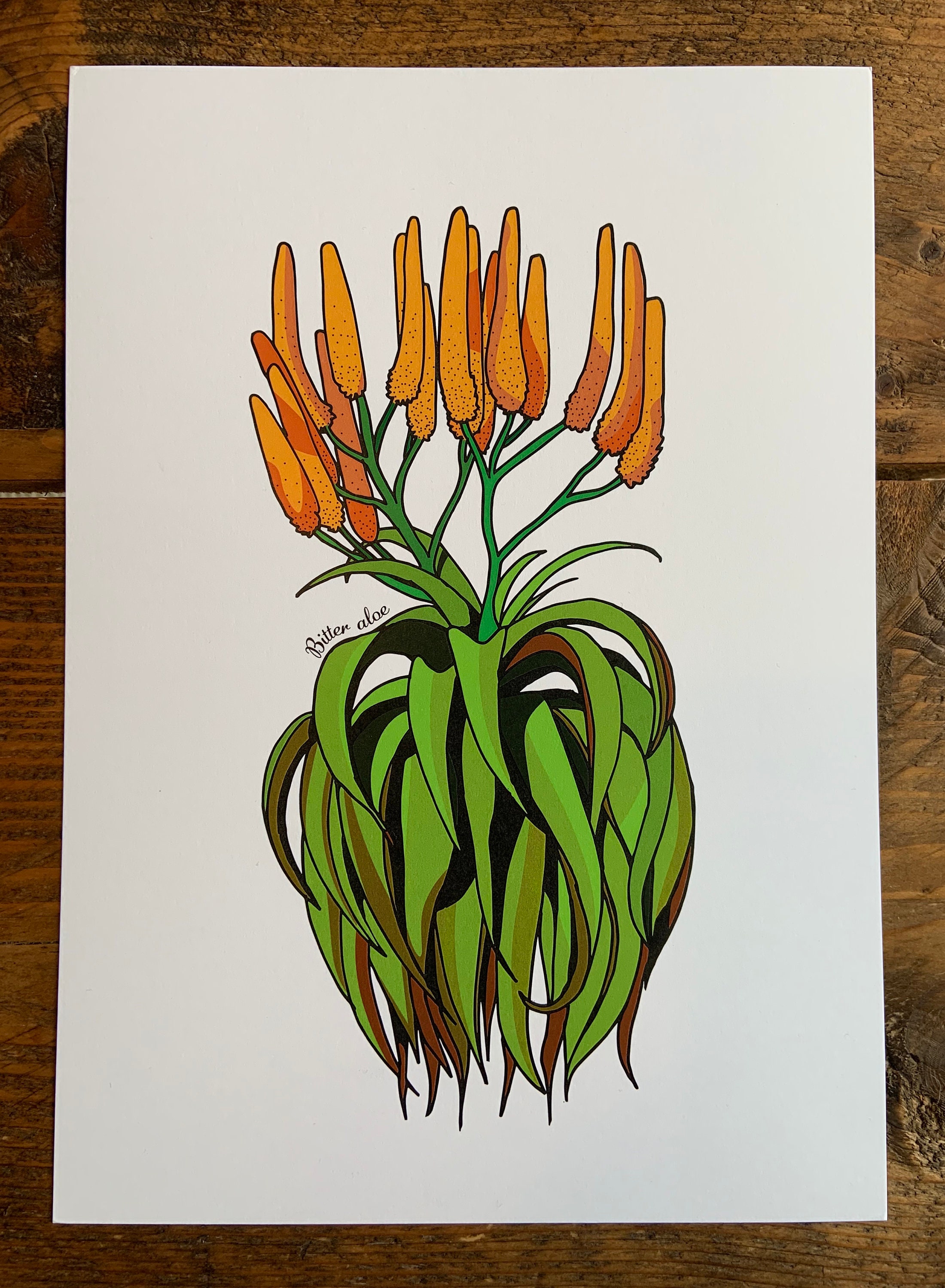 Aloe Print Aloe South African Art Botanical Prints Cactus Art - Etsy