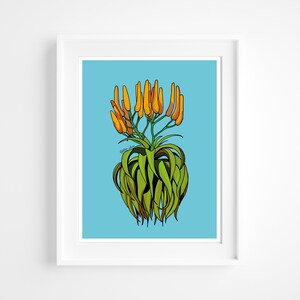 Aloe Druck | Aloe | Südafrikanische Kunst | Botanische Drucke | Kaktus-Kunst