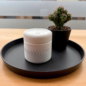 May include: A white, cylindrical container with a textured, wave-like pattern sits on a black tray. A small cactus in a black pot is also on the tray. The tray is on a wooden surface.