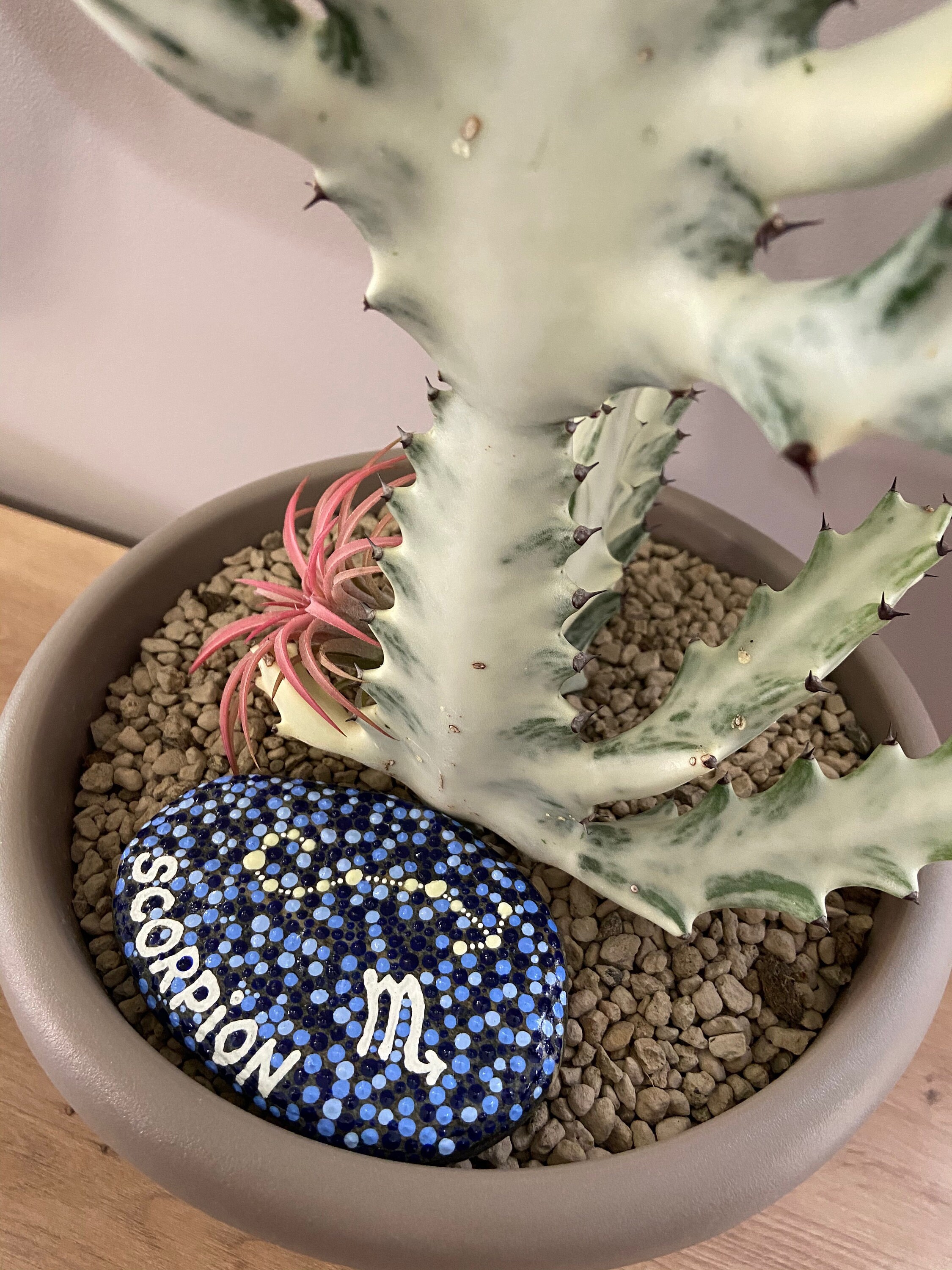 Galet Décoratif Astro Phosphorescent