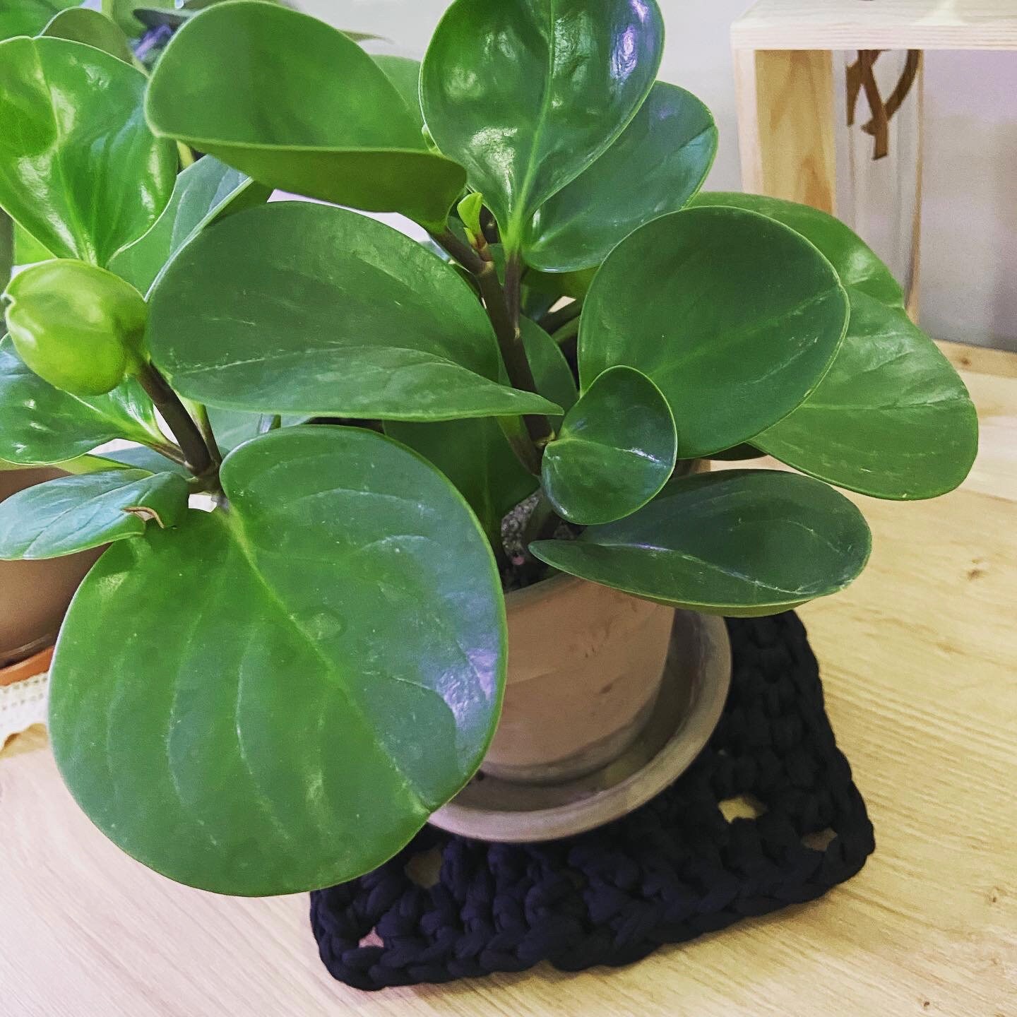 Dessous de Pot Au Crochet Carré, Crocheté Main