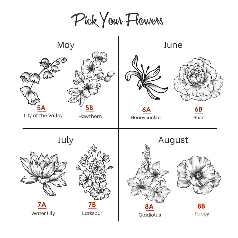 May include: A chart showing different types of flowers that bloom in the months of May, June, July, and August. The flowers are drawn in black and white and labeled with their names and the month they bloom.