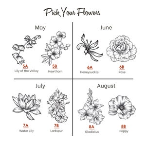 May include: A chart showing different types of flowers that bloom in the months of May, June, July, and August. The flowers are drawn in black and white and labeled with their names and the month they bloom.