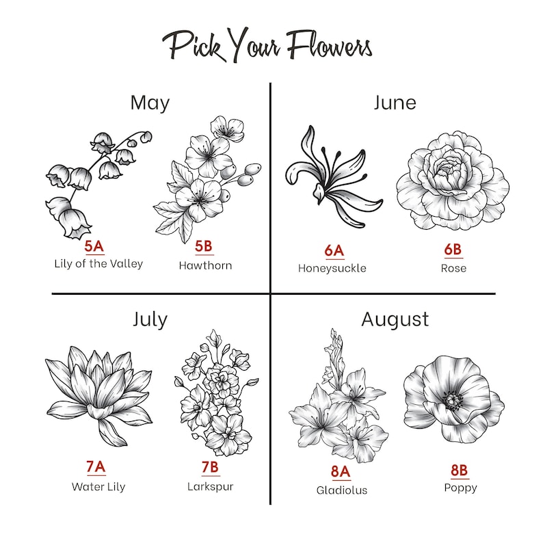 May include: A chart showing different types of flowers that bloom in the months of May, June, July, and August. The flowers are drawn in black and white and labeled with their names and the month they bloom.