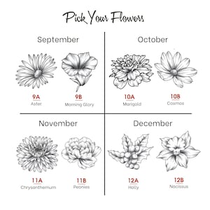May include: A black and white illustration of different flowers, organized by month. The flowers include aster, morning glory, marigold, cosmos, chrysanthemum, peonies, holly, and narcissus.