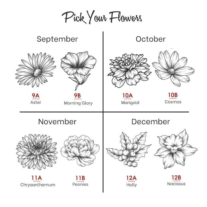 May include: A black and white illustration of different flowers, organized by month. The flowers include aster, morning glory, marigold, cosmos, chrysanthemum, peonies, holly, and narcissus.