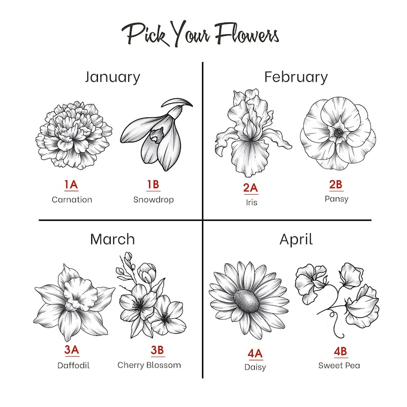 May include: A black and white illustration of different types of flowers, organized by month. The flowers include carnation, snowdrop, iris, pansy, daffodil, cherry blossom, daisy, and sweet pea.