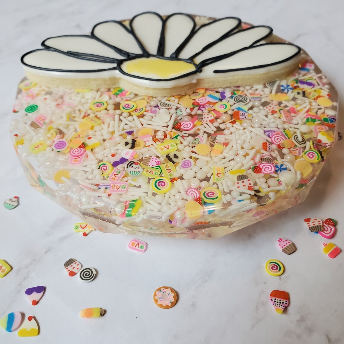Sprinkle Cookie Turntable cookie tools royal icing Etsy