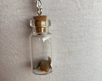 Shells In A Bottle