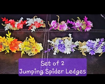 Jumping Spider Enclosure Ledges SET OF TWO (2)