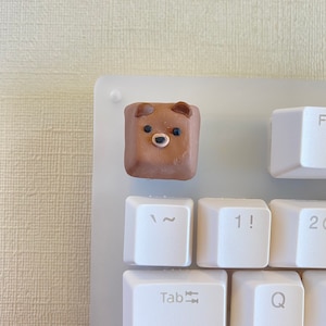 May include: A brown bear-shaped keycap with black eyes and a pink nose, sitting on a white keyboard with keys labeled "Tab", "CapsLock", "~", "1!", "2", "Q".