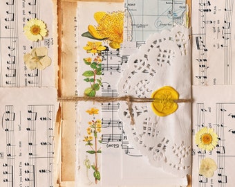 Vintage Paper Pack | Vintage Paper Scraps | Vintage Botanical | Vintage Map | Vintage Music Sheets