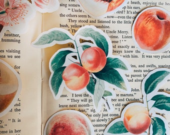 Peach Stickers | Vintage botanical