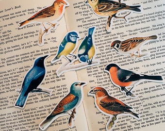 Vintage bird stickers