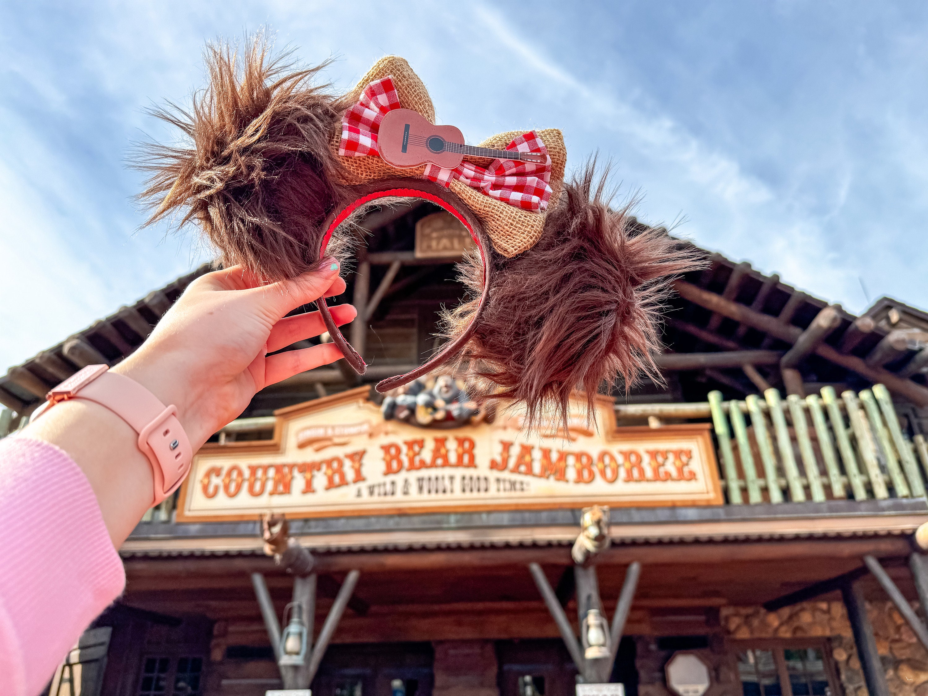 Country bear jamboree - Etsy 日本