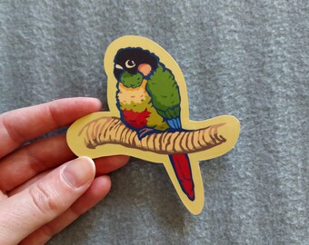 Vinyl stickers - Green cheek conure - Water-resistant - Customizable