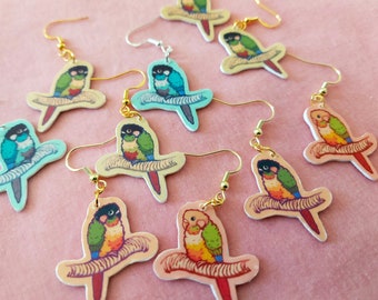 Green cheek conure earrings - Customizable - Handmade