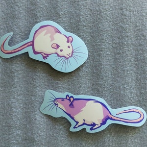 Vinyl stickers - Fancy rats - Cute ratties - Water-resistant