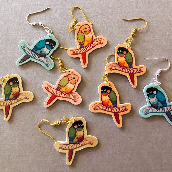 Green Cheek Conure Etsy