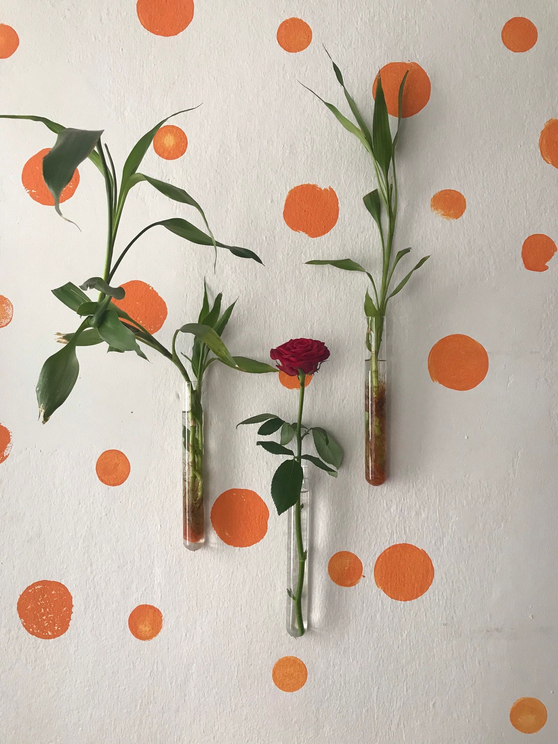 Hanging Planter Tube 3 Pieces Wall Bud Vase Glass Test Etsy Canada