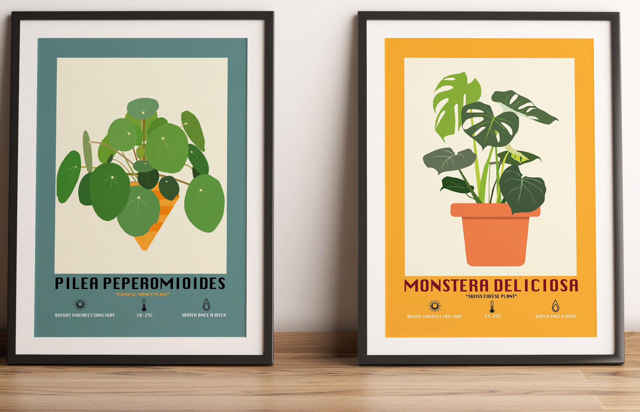 Pilea Peperomioides / Chinese Money Plant Poster Illustration/print ...