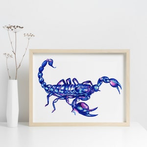 Scorpio - Horoscope Animals Series - A3 Art Print, Illustration of a Scorpion, 190gsm Poster