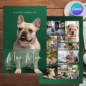 Programa funerario conmemorativo para mascotas - Plantilla de Canva para obituario de perros o gatos - Homenaje a la pérdida de una mascota - Green Digital para celebrar la vida