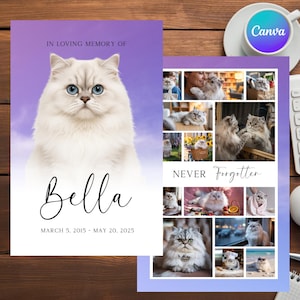 May include: A memorial card with a portrait of a fluffy white cat with blue eyes, the name "Bella", and dates "March 5, 2015 - May 20, 2025". A collage of cat photos is on the right, with the words "Never Forgotten".