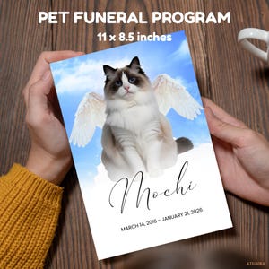 May include: A pet funeral program featuring a Ragdoll cat with angel wings against a blue sky background. The program is 11 x 8.5 inches and includes the name "Mochi" and dates March 14, 2016 - January 21, 2026.