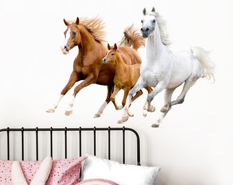 Wall Sticker Horses Wall Sticker Pony Wall Decal Girls Nursery Decoration Picture Sticker Ross Sticker Ross DL475