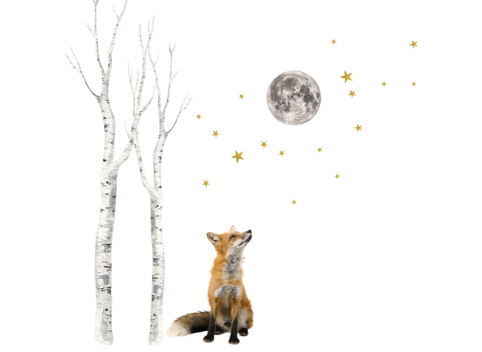 Wall Decal Wall Sticker Children's Room Animals Forest Etsy