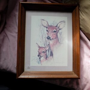 Vintage Bild Hirsch