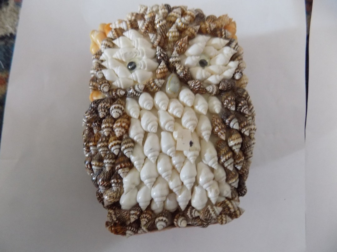 Shell Owl Handmade Shell Owl - Etsy