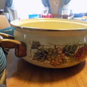 May include: A round, cream-colored enamel pot featuring a decorative grape and vine pattern around the exterior. The pot has two brown, curved side handles and a metallic rim. The interior of the pot is a smooth, light cream color.