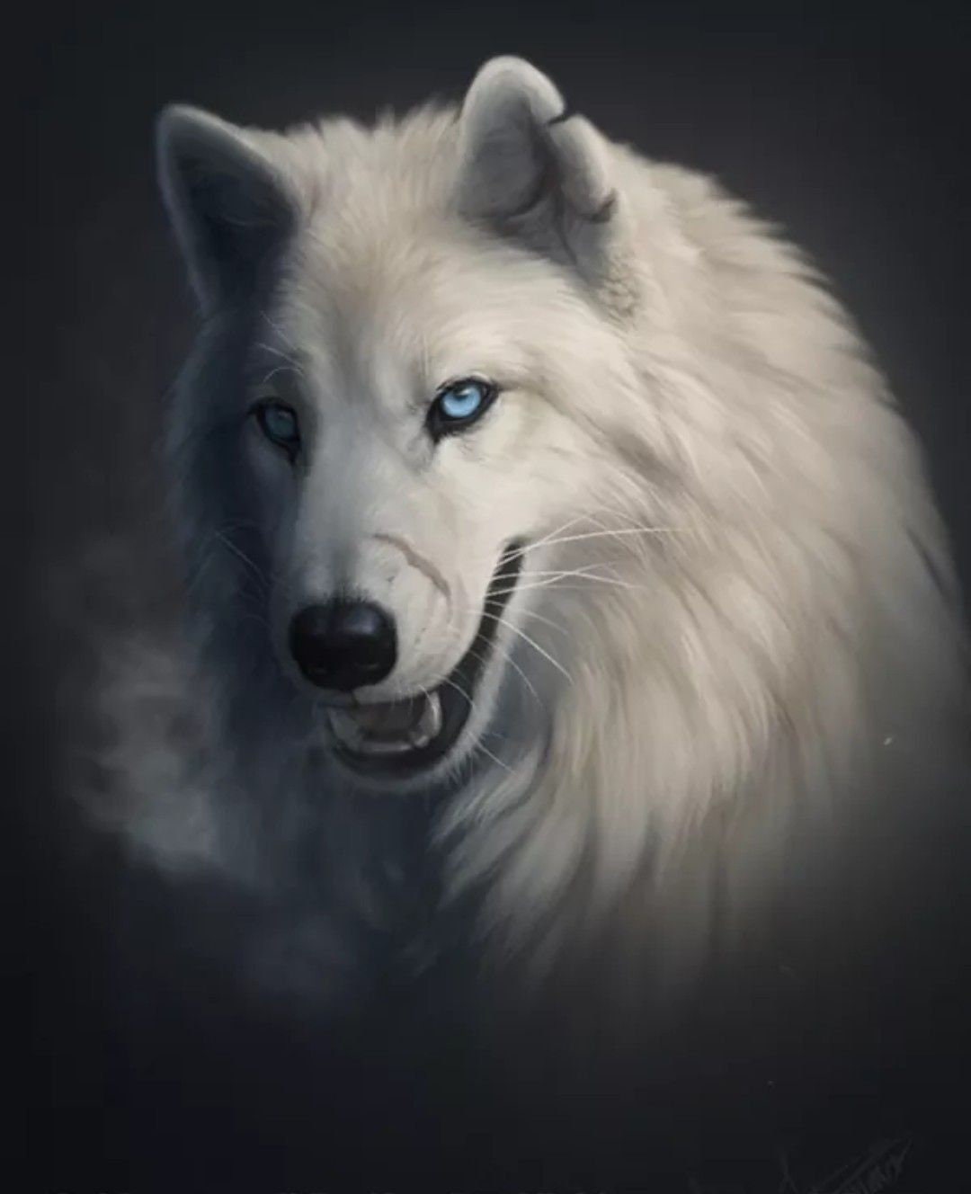 White Wolf Poster Framing Print Cabin Lodge Wildlife Wall Decor - Etsy